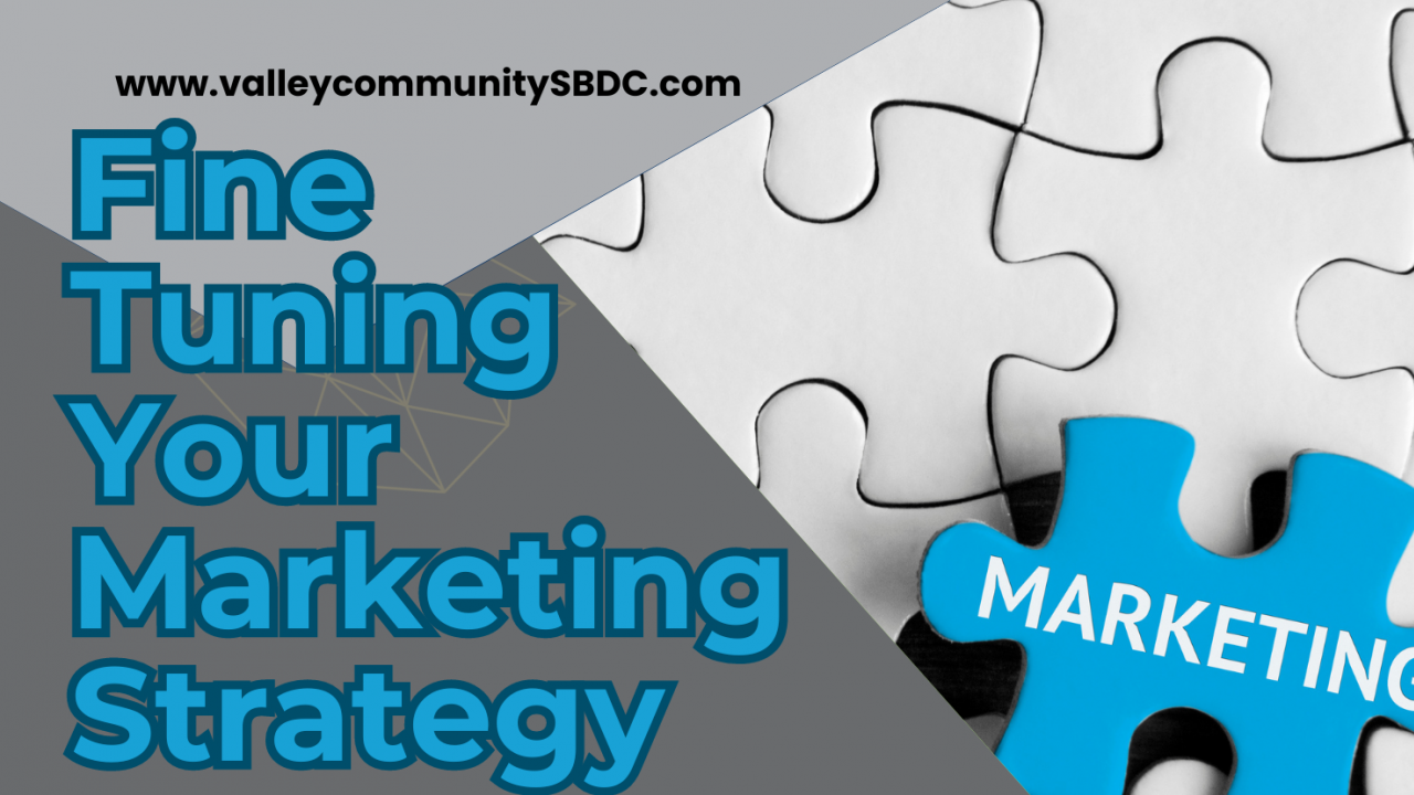 The thumbnail for the webinar "Fine-Tuning Your Marketing Strategy"